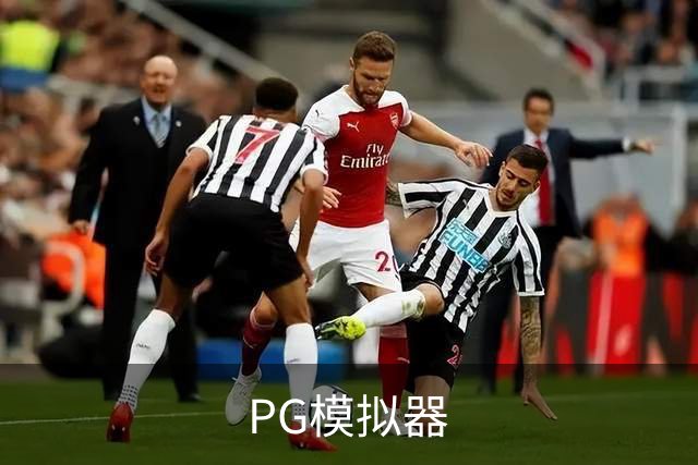 PG模拟器公司介绍图